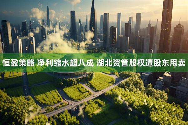 恒盈策略 净利缩水超八成 湖北资管股权遭股东甩卖