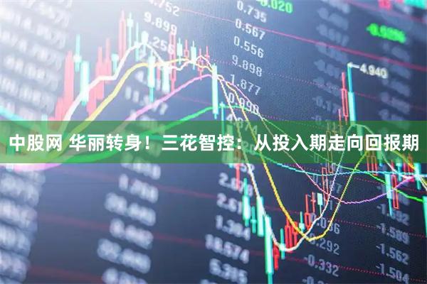 中股网 华丽转身！三花智控：从投入期走向回报期